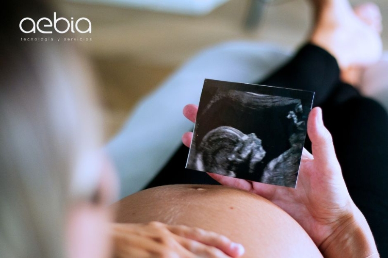 programa para empresas